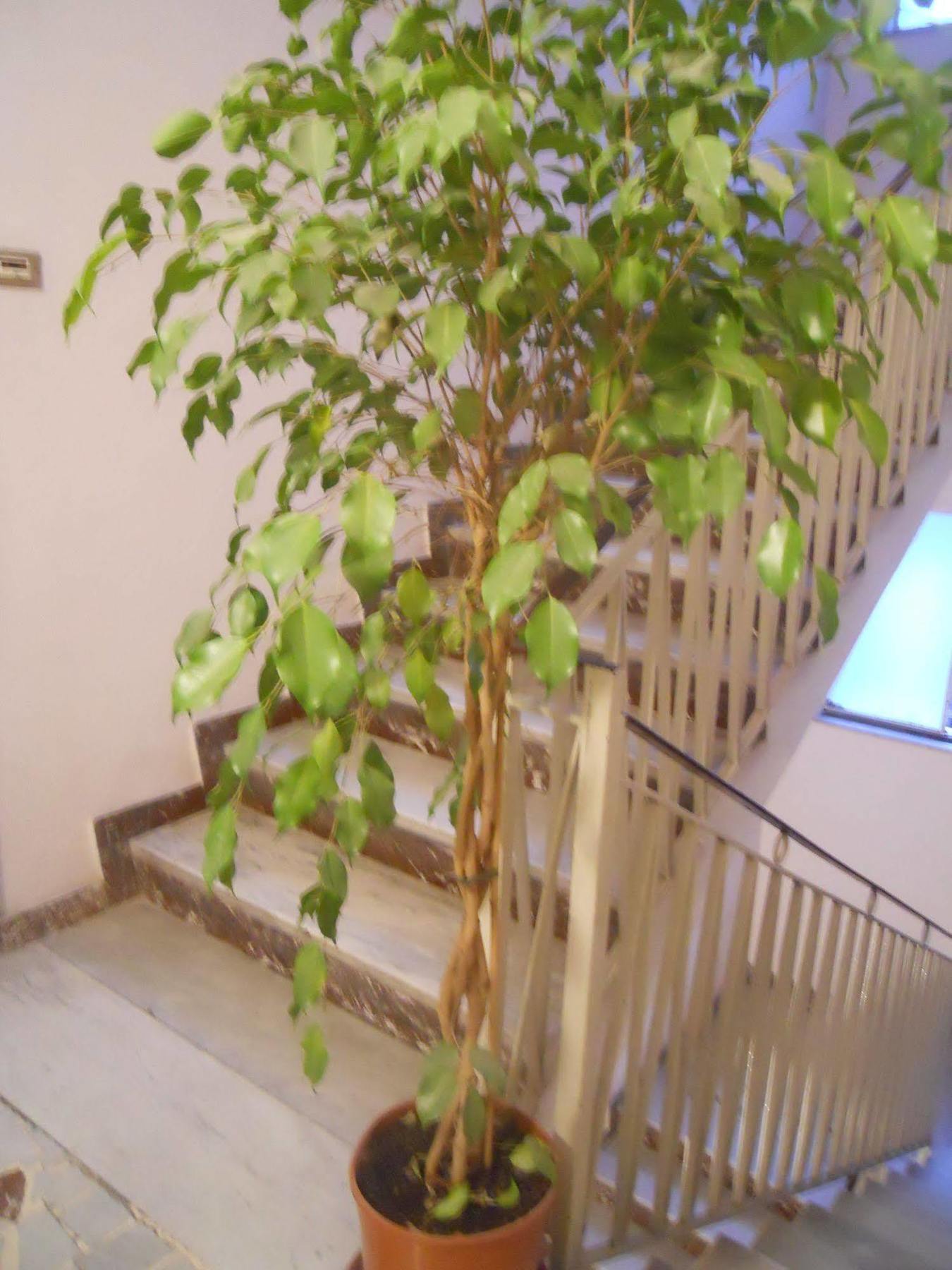 Catania Crossing B&B - Rooms & Comforts Buitenkant foto